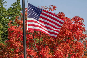 Flag flying in front of autumn leaves