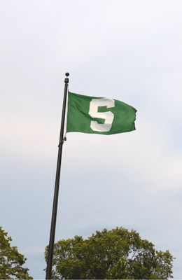 Green Michigan State University flag with a large white 'S' flying on a flagpole against a cloudy sky, with trees visible below.