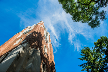 A towering brick building with intricate architectural details set against a clear blue sky. The upward perspective showcases the building's height, framed by green tree branches on either side, highlighting the beauty of campus architecture at Michigan State University.