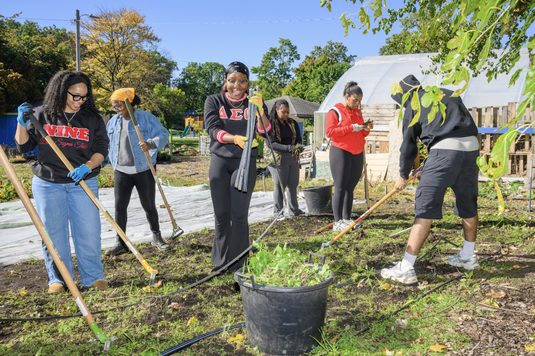 MSU student rake leaves as part of the Fall Day of Service.