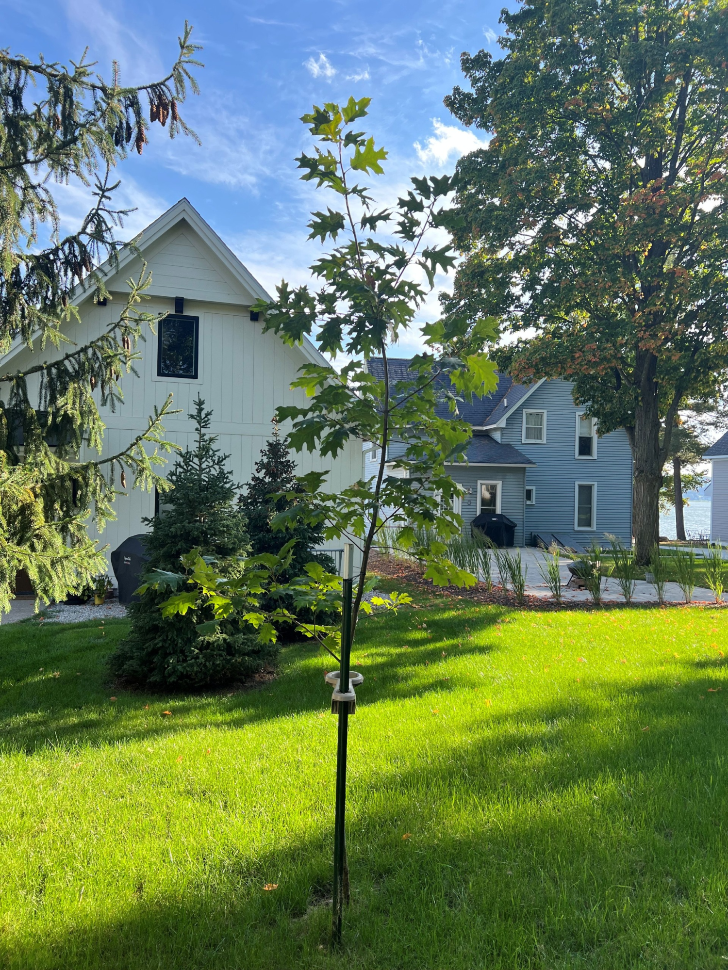 Memorial tree for Parker Haire